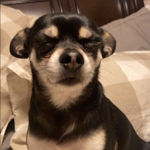 Meet your Posher, Joel